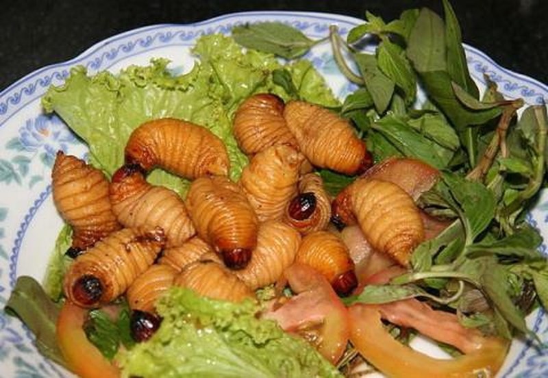 Đu&ocirc;ng ch&agrave; l&agrave; - đặc sản C&agrave; Mau nhiều người chết khiếp - Ảnh 6.