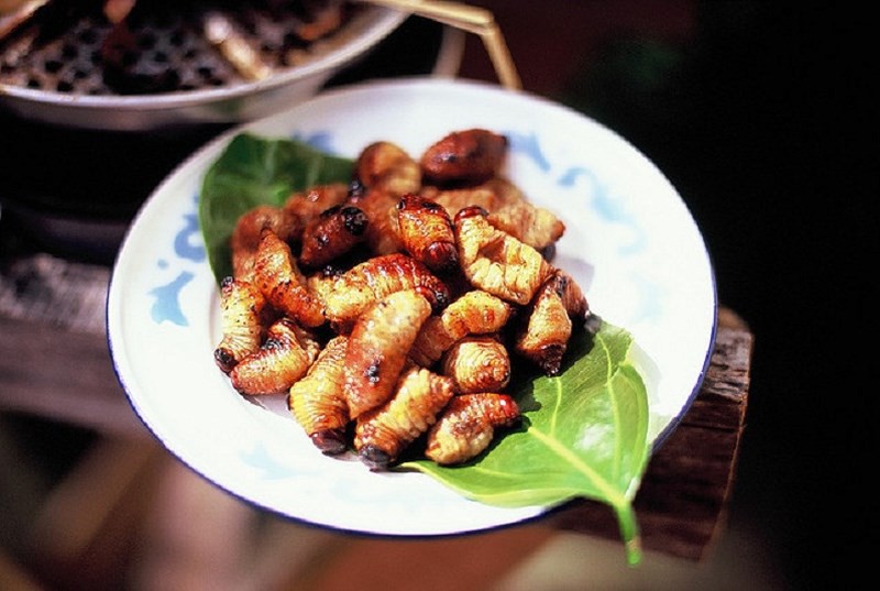Đu&ocirc;ng ch&agrave; l&agrave; - đặc sản C&agrave; Mau nhiều người chết khiếp - Ảnh 9.