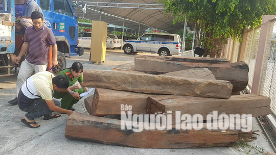 Bắt giữ xe đầu k&eacute;o chở gỗ căm xe với khối lượng lớn - Ảnh 2.