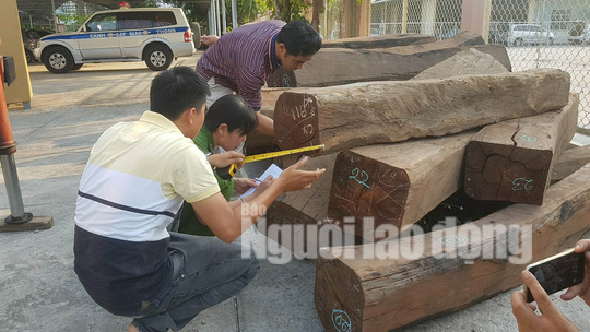 Bắt giữ xe đầu k&eacute;o chở gỗ căm xe với khối lượng lớn - Ảnh 3.