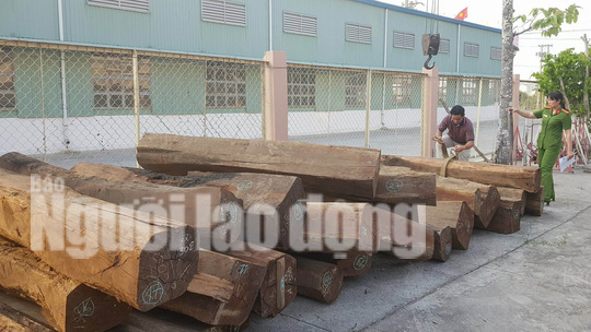 Bắt giữ xe đầu k&eacute;o chở gỗ căm xe với khối lượng lớn - Ảnh 5.