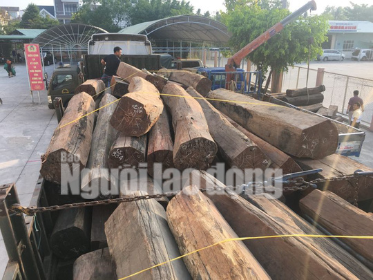 Bắt giữ xe đầu kéo chở gỗ căm xe với khối lượng lớn