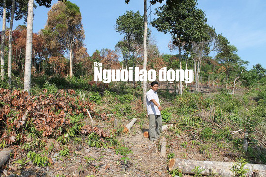 Nh&igrave;n lại những sai phạm của chủ tịch, ph&oacute; chủ tịch huyện Ph&uacute; Quốc - Ảnh 3.