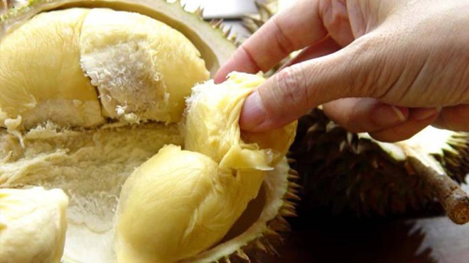 Mẹo chọn sầu ri&ecirc;ng thơm ngon, cơm nhiều hạt &iacute;t - Ảnh 2.