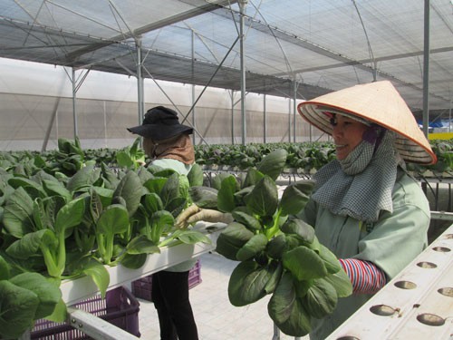 Kỳ vọng lớn v&agrave;o chuỗi thực phẩm an to&agrave;n - Ảnh 1.