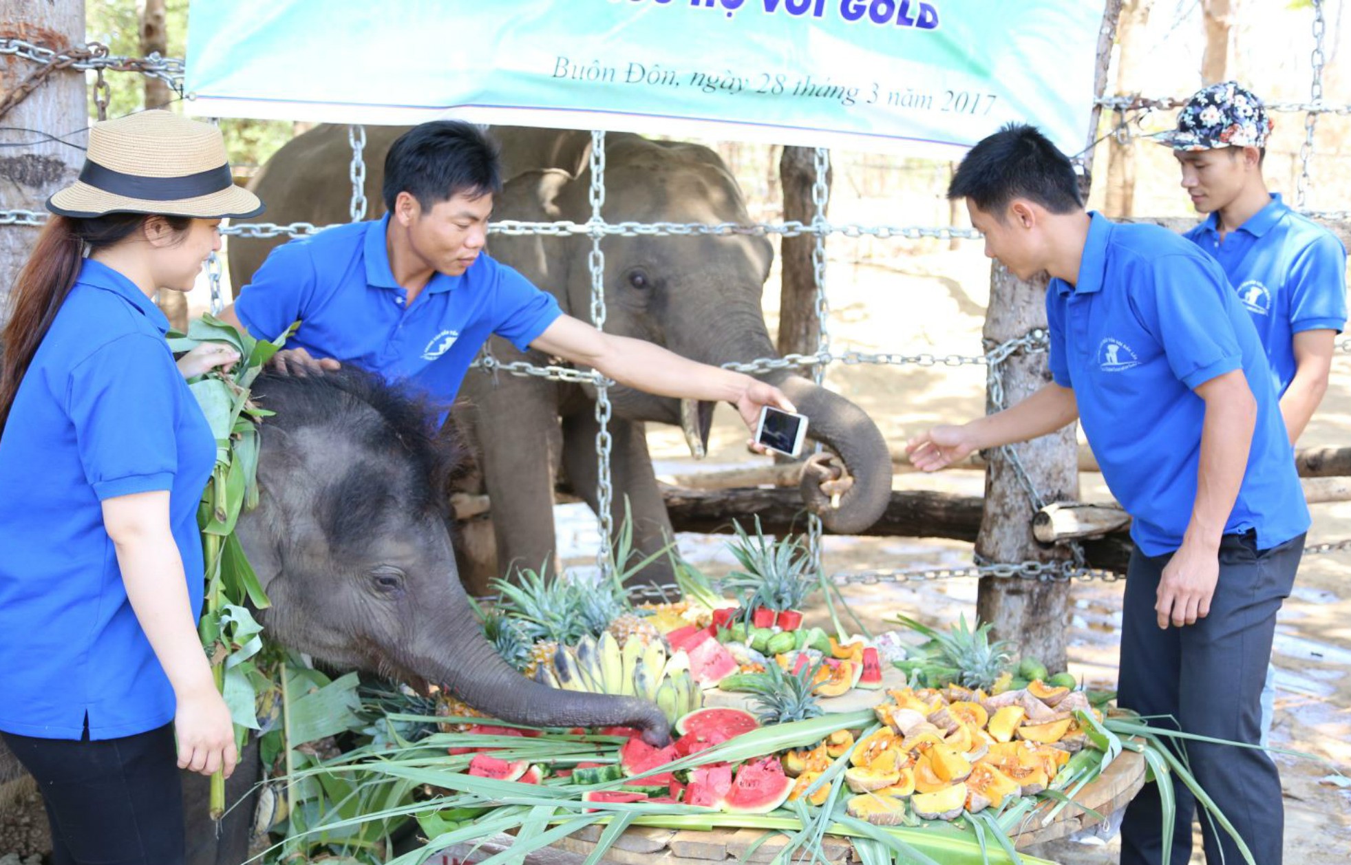 Phải l&ograve;ng voi - Ảnh 2.