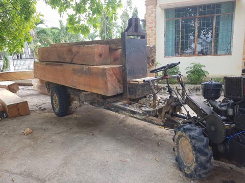 Kiểm lâm bị tố thờ ơ với nạn phá rừng