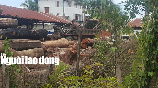 Gỗ lậu của trùm Phượng "râu" đi qua hàng loạt trạm kiểm lâm, công an, biên phòng