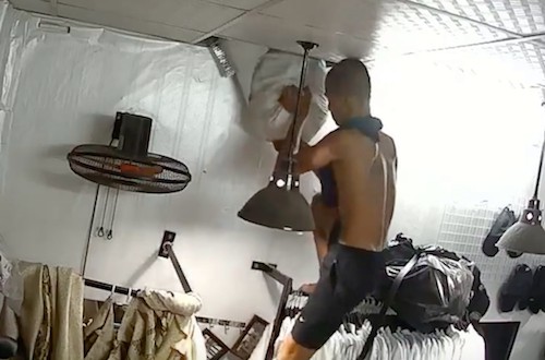Những tên trộm hăm hở hành nghề mà "quên não ở nhà"