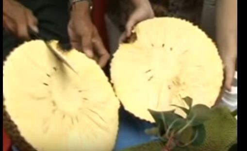 Cận cảnh m&iacute;t kh&ocirc;ng hạt g&acirc;y sốt ở miền T&acirc;y - Ảnh 6.