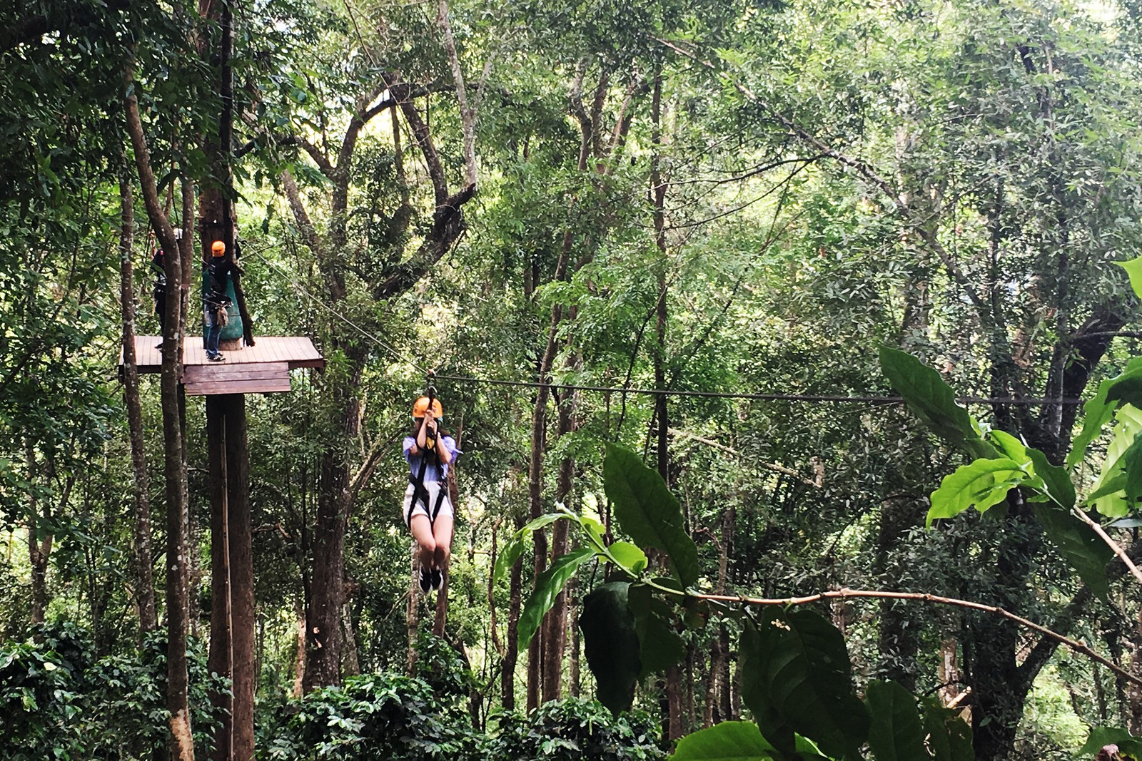 Điều cần biết cho người du lịch tự túc Chiang Mai - Thái Lan - Ảnh 17.