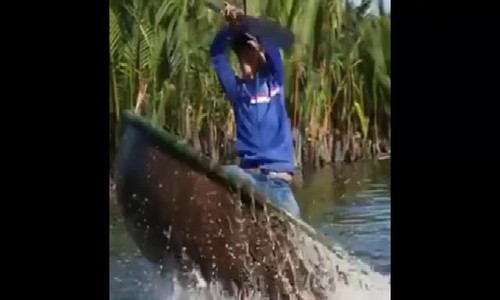 Khu rừng dừa như miền T&acirc;y s&ocirc;ng nước tại Hội An - Ảnh 9.