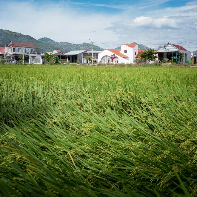 Ng&ocirc;i nh&agrave; qu&ecirc; đẹp như tranh vẽ, ai nh&igrave;n thấy cũng phải m&ecirc; - Ảnh 2.