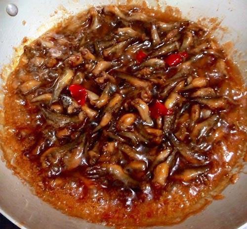 Ví dầu cá bống kho tiêu…