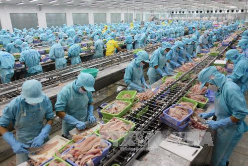 Nên tăng tuổi nghỉ hưu từ năm 2025