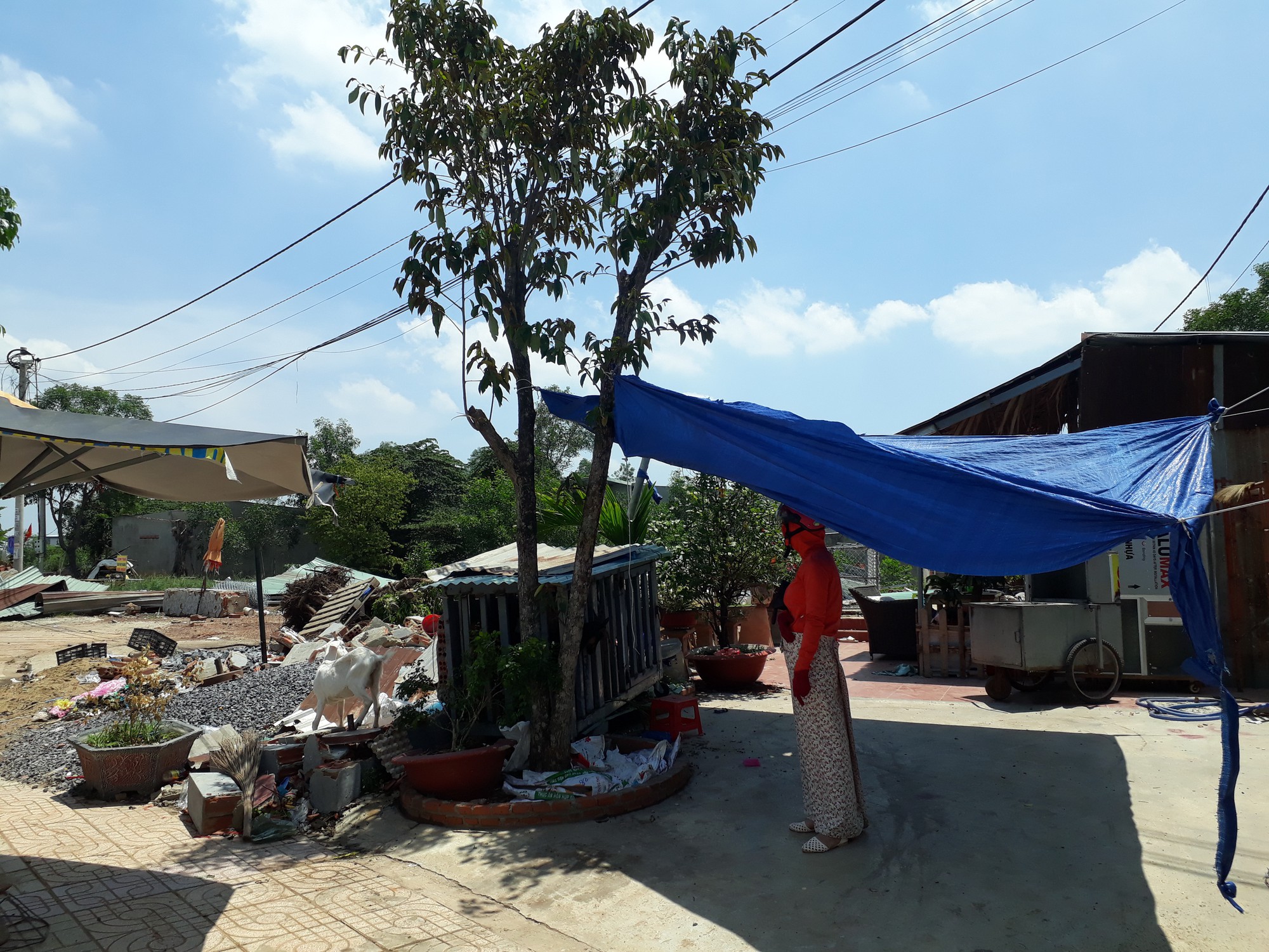 Vụ x&acirc;y nh&agrave; tr&ecirc;n đất người kh&aacute;c ở Bi&ecirc;n H&ograve;a: Th&aacute;o dỡ căn nh&agrave; tr&aacute;i ph&eacute;p - Ảnh 1.