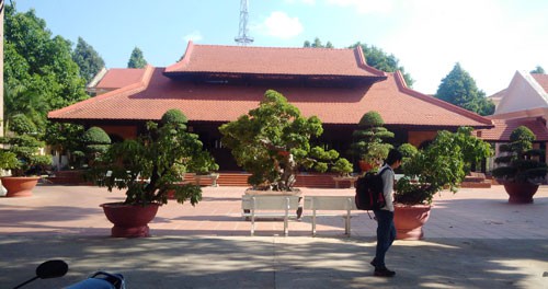 Công sở cũng muốn "khoe"... nhà gỗ