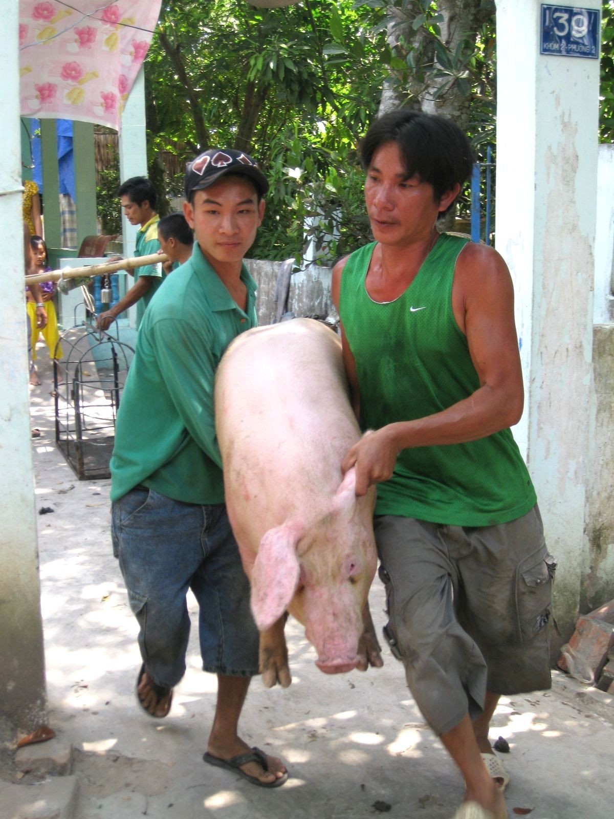 Giá heo hơi tại ĐBSCL tăng trở lại - Ảnh 1.