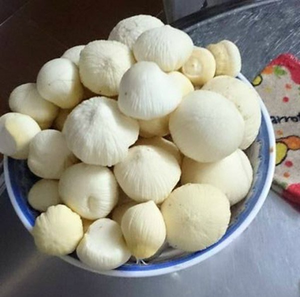 Về miền Tây ăn mọng dừa vừa ngon lại hiếm - Ảnh 3.
