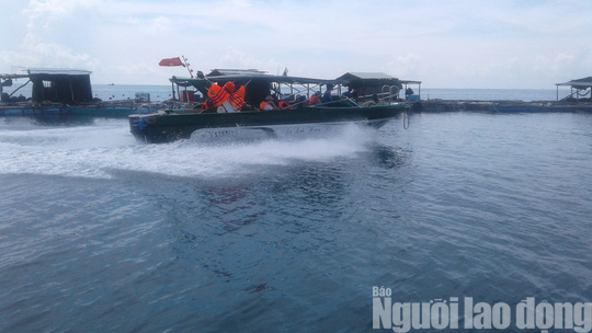 Ra Ph&uacute; Quốc, ngất ng&acirc;y lặn biển đ&acirc;m c&aacute;, ngắm san h&ocirc; ở H&ograve;n Gầm Gh&igrave; - Ảnh 7.
