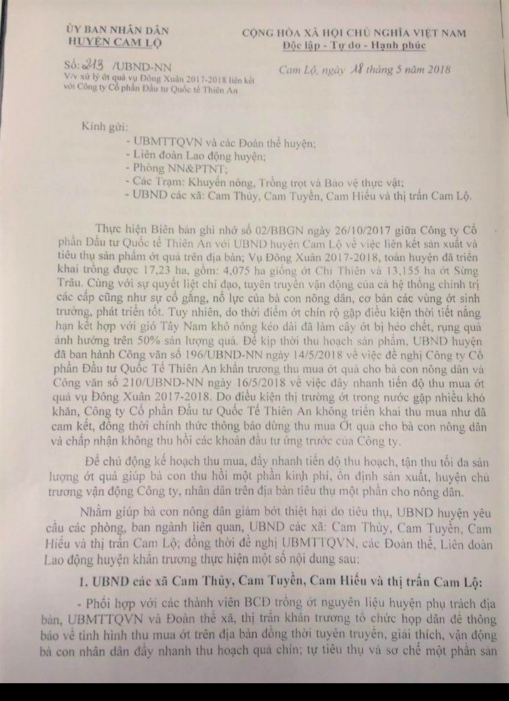Doanh nghiệp kh&ocirc;ng mua ớt như cam kết, h&agrave;ng trăm n&ocirc;ng d&acirc;n kh&oacute;c r&ograve;ng - Ảnh 2.