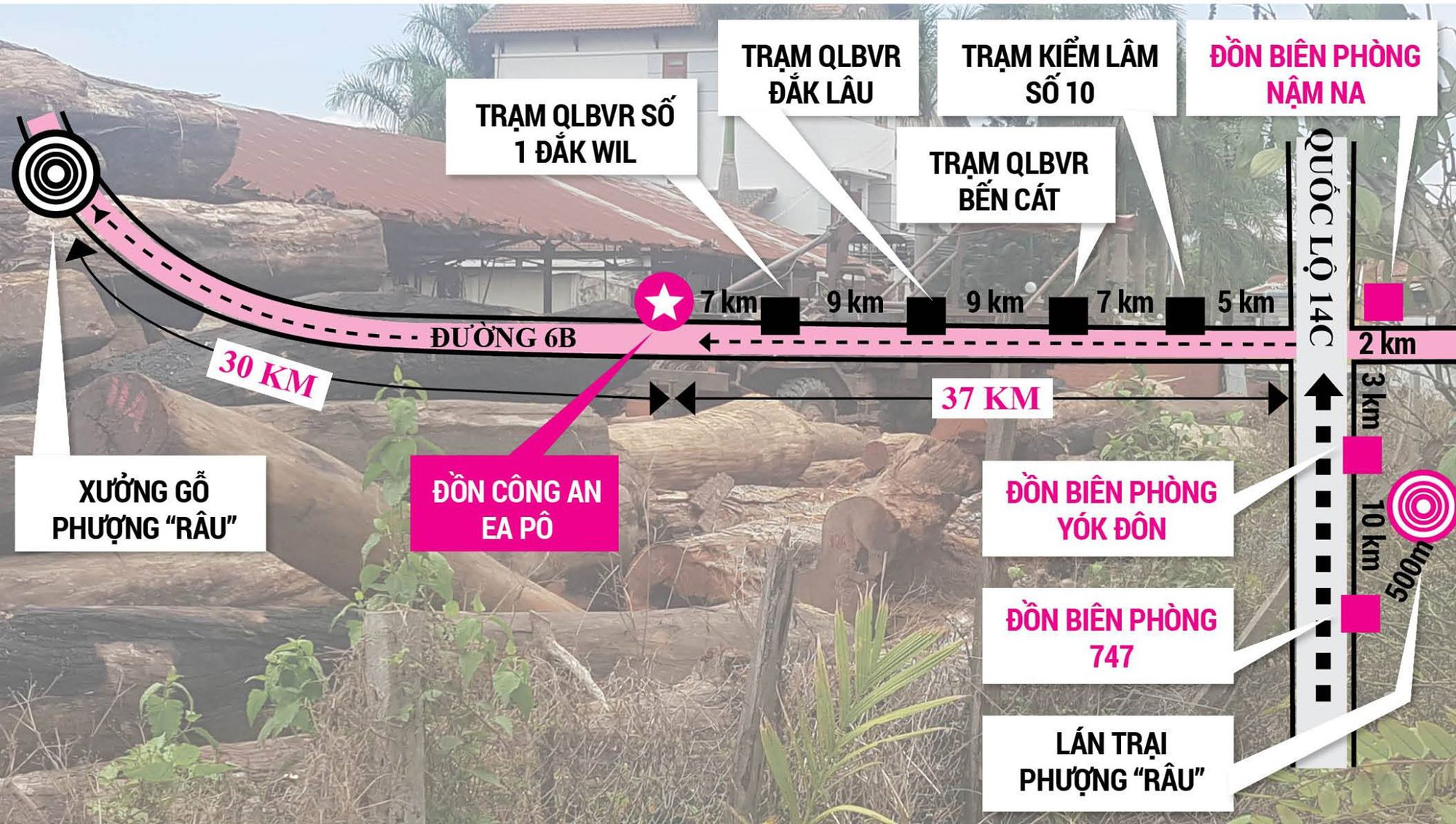 Vẽ lại cung đường gỗ lậu Phượng r&acirc;u - Ảnh 1.