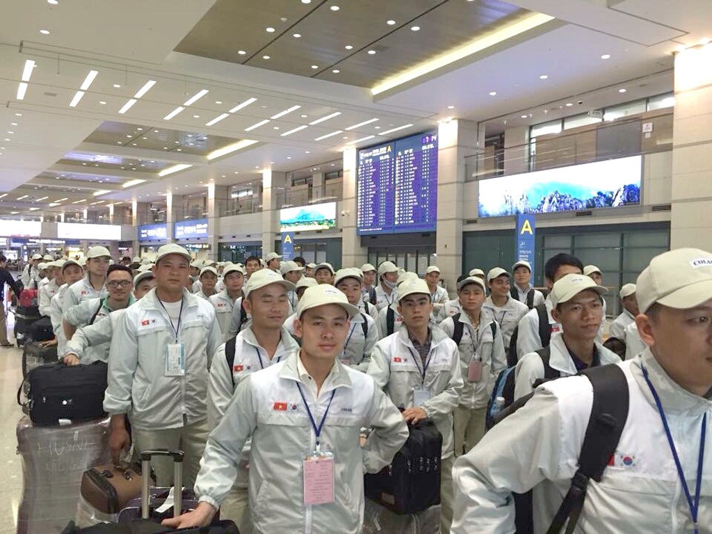 Colab là nơi duy nhất đưa lao động Việt Nam sang Hàn Quốc