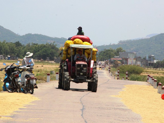 Rơm rạ khan hiếm, n&ocirc;ng d&acirc;n phụ thu th&ecirc;m bạc triệu - Ảnh 8.