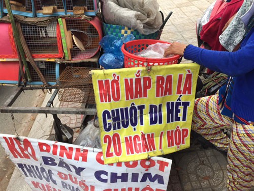 Thuốc diệt chuột chưa ai quản!