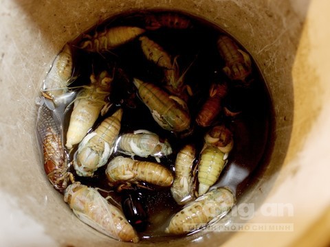 Sung dược vùng Bảy Núi - Ảnh 4.