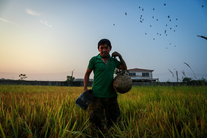 Cao thủ ngao du khắp Sài Gòn săn rắn, bắt chuột - Ảnh 2.