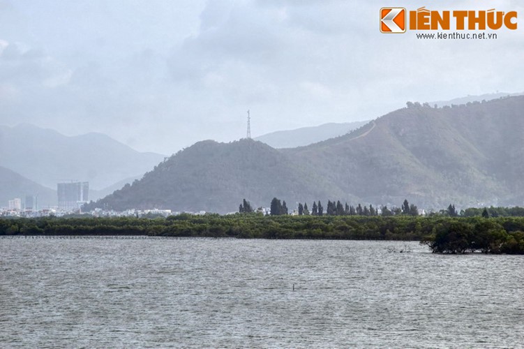 B&iacute; mật ẩn giấu sau vẻ đẹp của đầm Thị Nại - Ảnh 7.