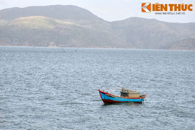 B&iacute; mật ẩn giấu sau vẻ đẹp của đầm Thị Nại - Ảnh 8.
