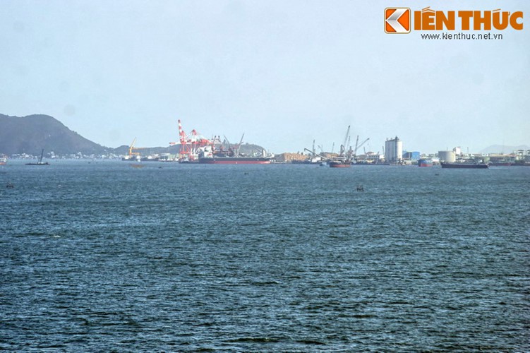 B&iacute; mật ẩn giấu sau vẻ đẹp của đầm Thị Nại - Ảnh 12.