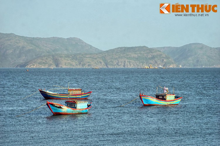 B&iacute; mật ẩn giấu sau vẻ đẹp của đầm Thị Nại - Ảnh 4.