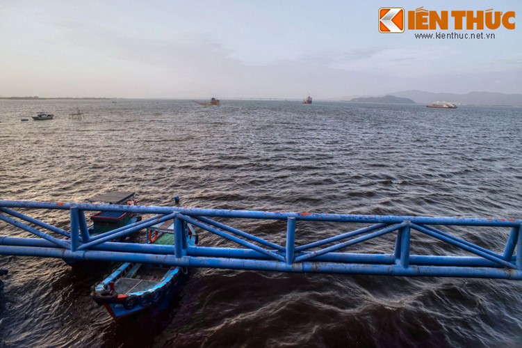 B&iacute; mật ẩn giấu sau vẻ đẹp của đầm Thị Nại - Ảnh 11.