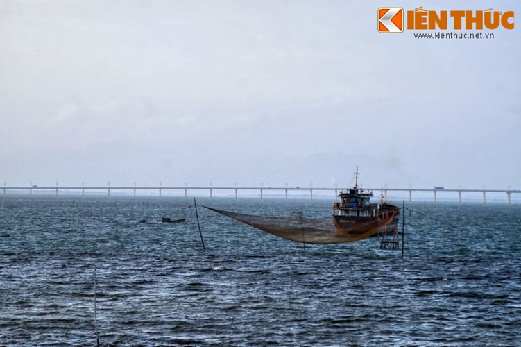 B&iacute; mật ẩn giấu sau vẻ đẹp của đầm Thị Nại - Ảnh 10.