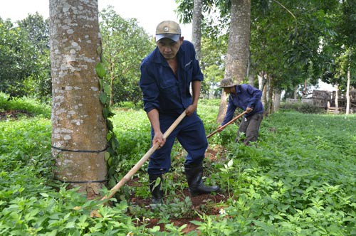 Vượt qua nghịch cảnh - Ảnh 2.
