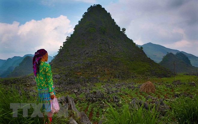 Toàn cảnh vẻ đẹp hùng vĩ của Hà Giang những ngày vào hạ - Ảnh 6.