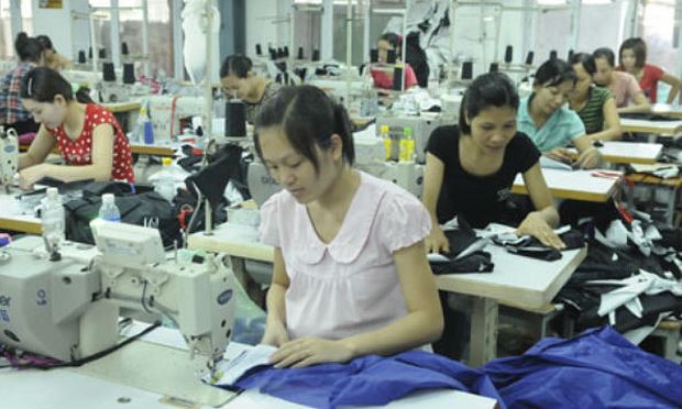 Nhiều thủ đoạn tinh vi trục lợi quỹ BHXH - Ảnh 1.