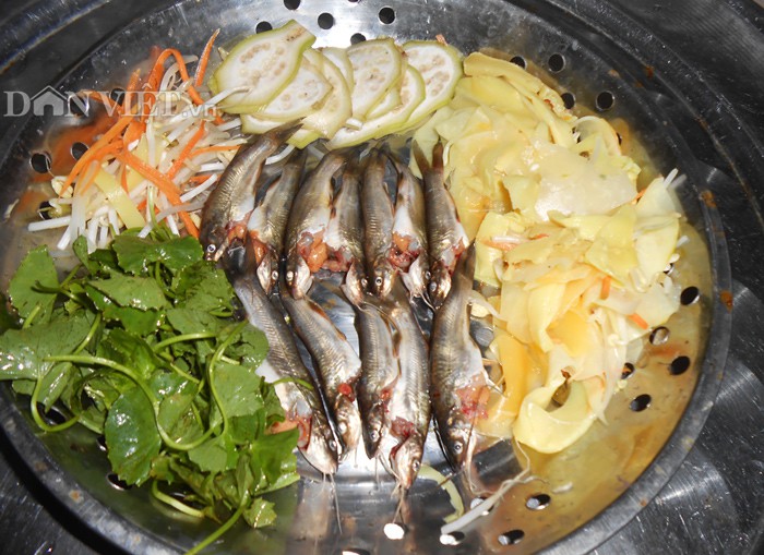 Sát thủ cá ngạnh - Ảnh 6.
