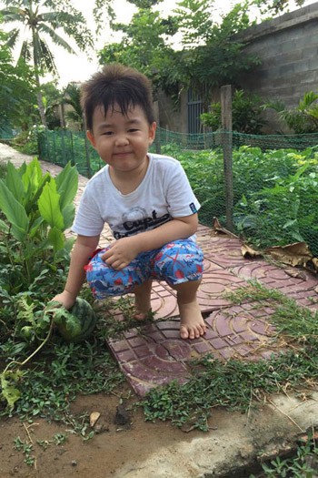 Phát thèm khu vườn sai trĩu quả của diễn viên Lê Phương - Ảnh 12.