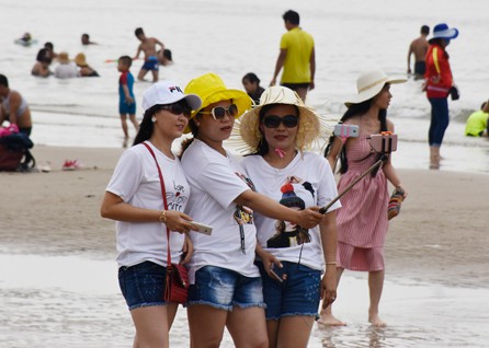 Sứa xuất hiện nhiều trên biển, Vũng Tàu cảnh báo du khách