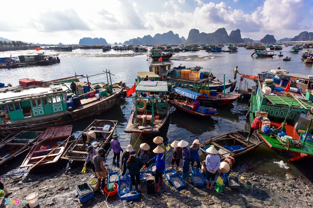 Chợ c&aacute; Bến Do nhộn nhịp l&uacute;c b&igrave;nh minh - Ảnh 2.