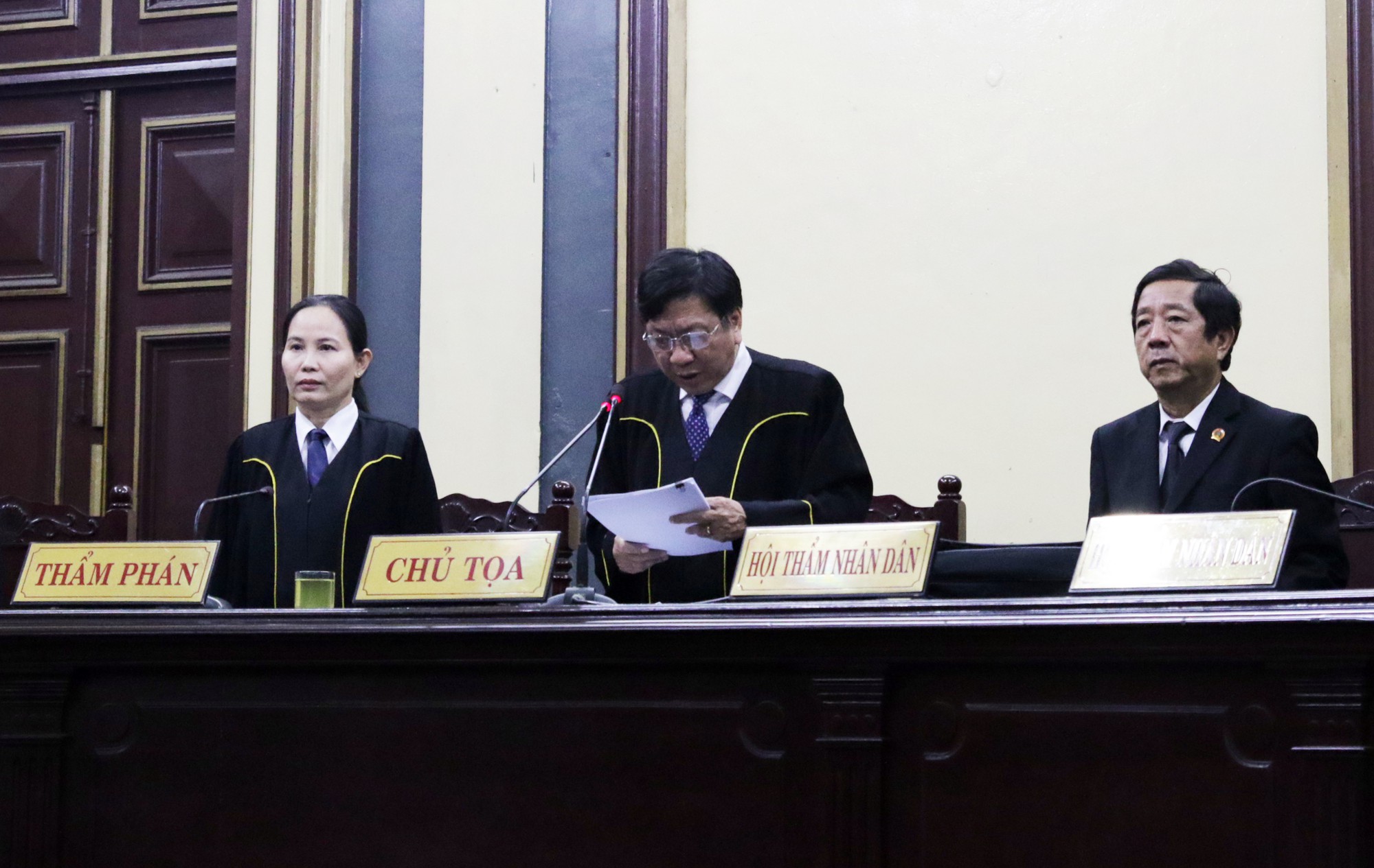 Bà Hứa Thị Phấn lãnh 30 năm tù - Ảnh 2.