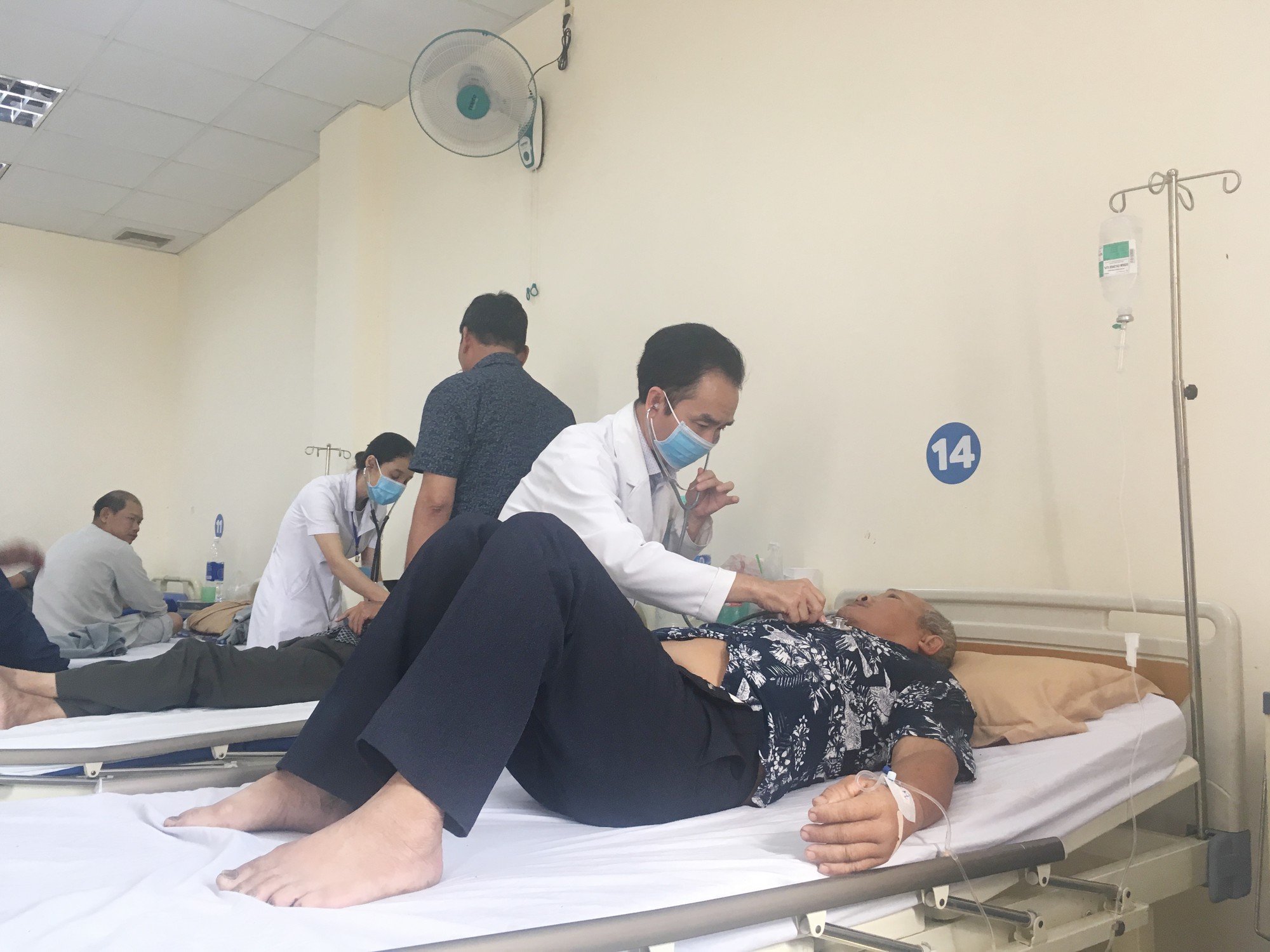 Đi tỉa cây thuê, vợ chồng già bị ong đốt nguy kịch - Ảnh 1.