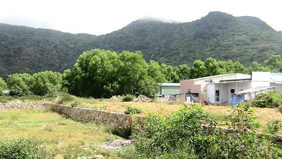 &ldquo;Sốt đất&rdquo; lan đến C&ocirc;n Đảo - Ảnh 1.