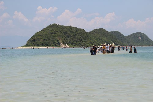 Giám đốc sở phải đi cơ sở chống "sốt" đất