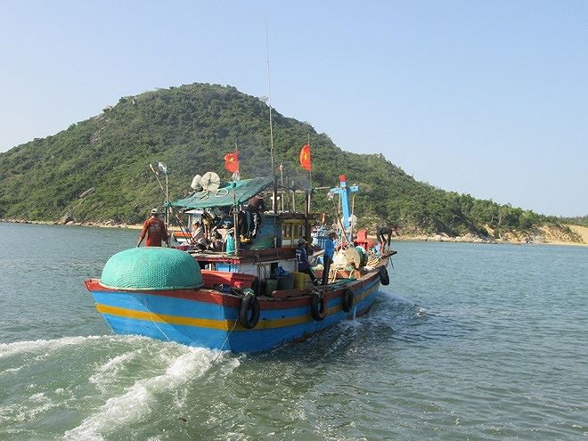 Sướng rơn ở bến c&aacute; nơi cửa biển Đề Gi l&uacute;c sớm mai - Ảnh 1.