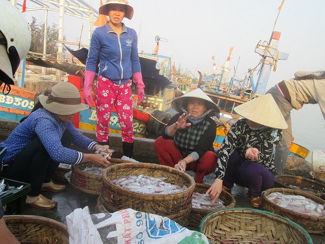 Sướng rơn ở bến cá nơi cửa biển Đề Gi lúc sớm mai